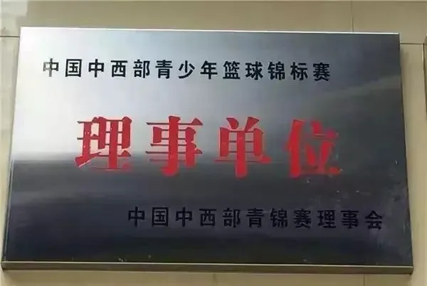职业球员如何通过联赛提升竞技水平_0