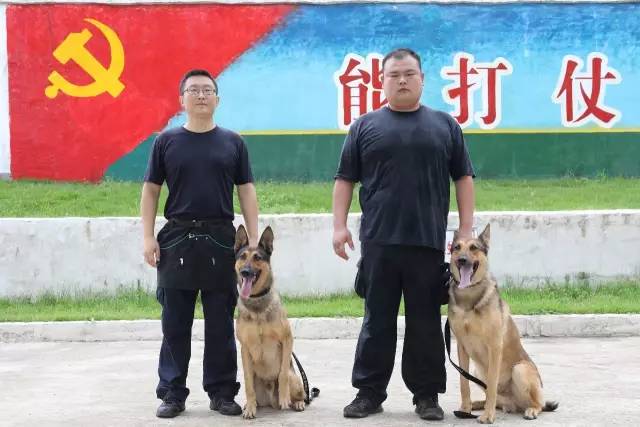 如何选择适合篮球康复训练的器材_2